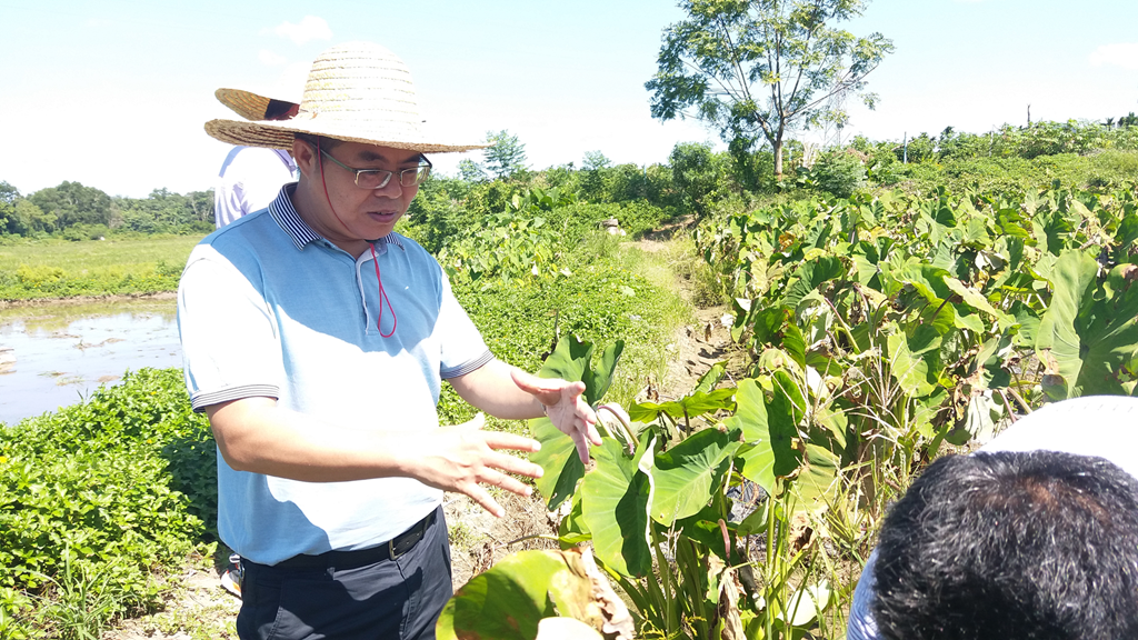 SG·亚洲胜游(中国区)官方网站_首页|迎接您!