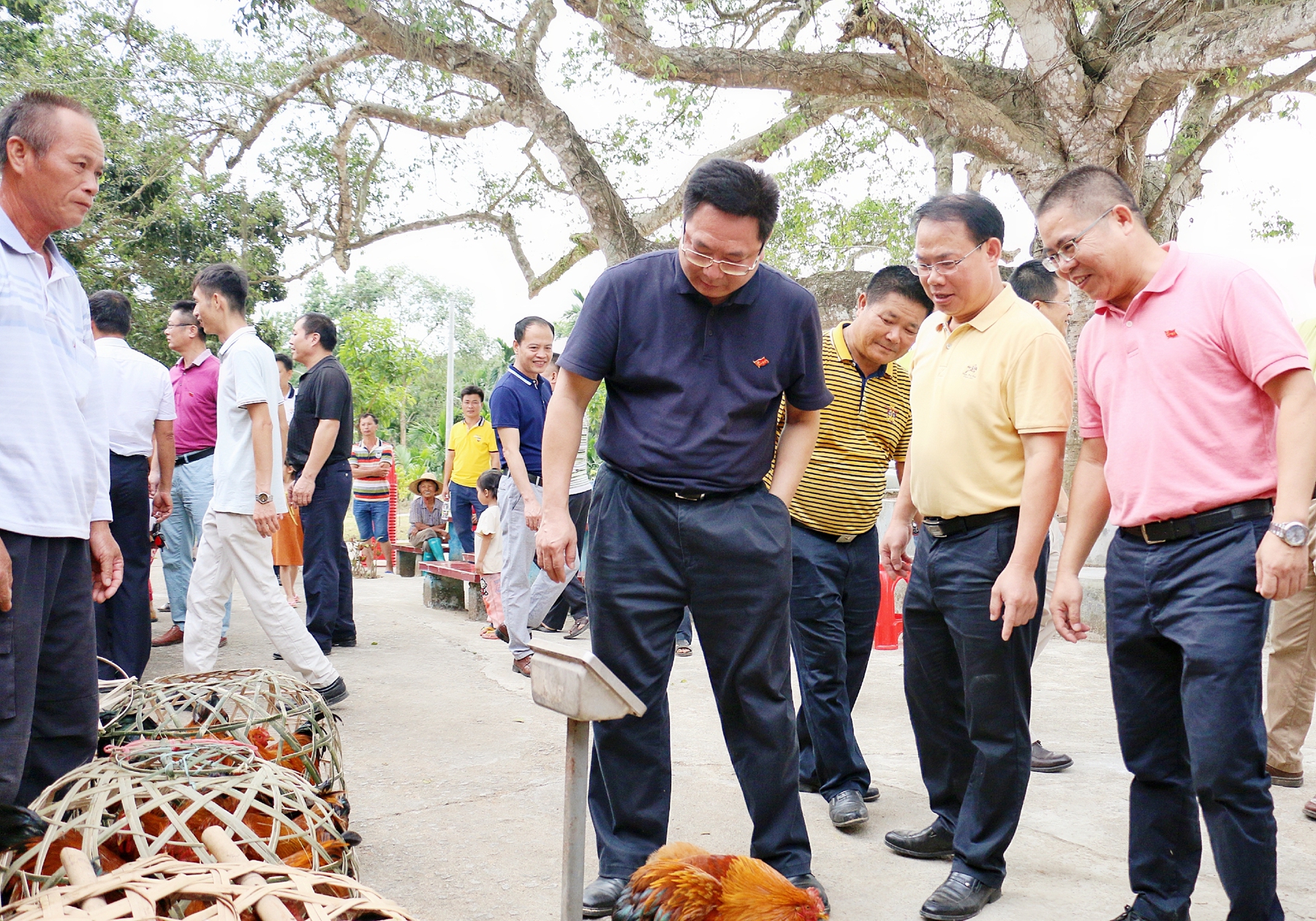 SG·亚洲胜游(中国区)官方网站_首页|迎接您!
