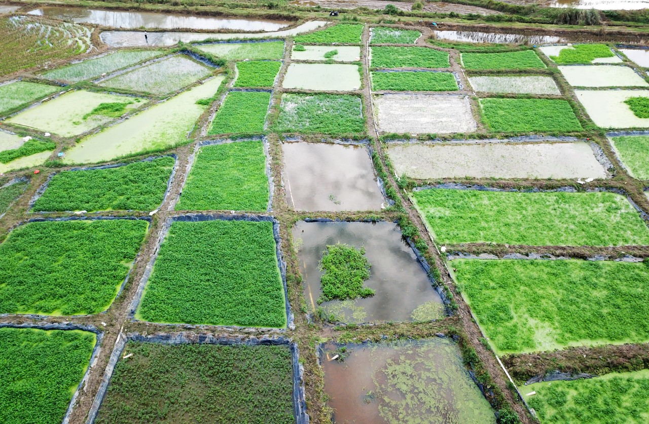 SG·亚洲胜游(中国区)官方网站_首页|迎接您!